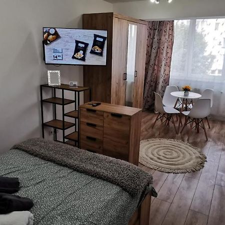 Апартаменты Ana Studio Тыргу-Муреш Экстерьер фото