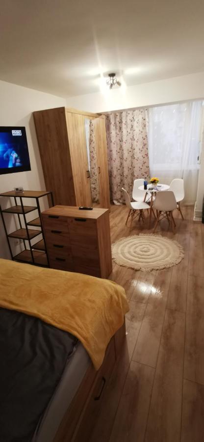 Апартаменты Ana Studio Тыргу-Муреш Экстерьер фото